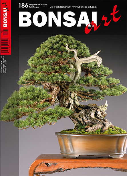 BONSAI ART 186 – Juli / August 2024