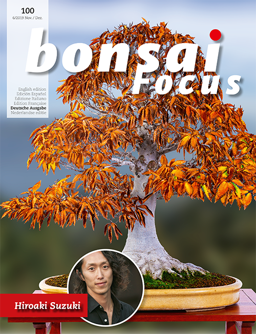 Bonsai-Focus 100 Nov/Dez 2019