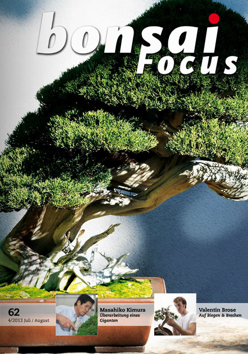 Bonsai-Focus 100 Nov/Dez 2019