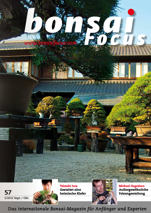 Bonsai-Focus 100 Nov/Dez 2019