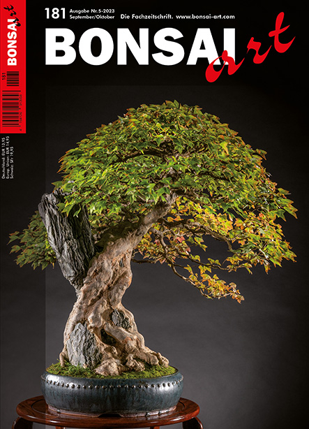 BONSAI ART 181 – September / Oktober 2023