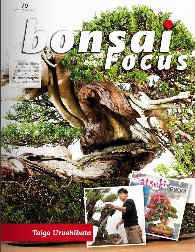 Bonsai-Focus 100 Nov/Dez 2019