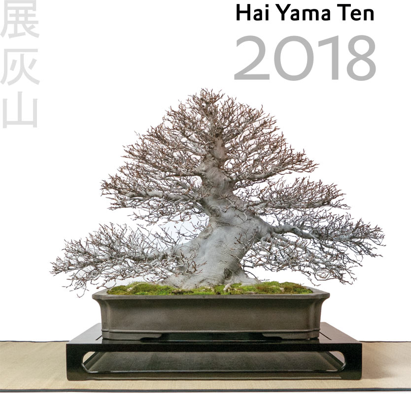 Das offizielle Buch zur Hai Yama Ten 2018: Alle Bäume der Ausstellung werden hier dokumentiert.

68 S., farbig, 21 x 21 cm, Hardcover.