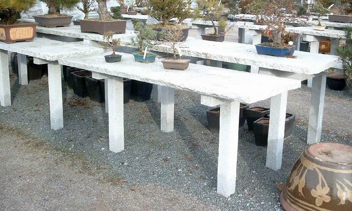 Größe: ca. 200 x 63 x 5 cm
Gewicht: ca. 200 kg
 
Diese Granitplatten sind zur Präsentation von Bonsai geeignet. Mit einem entsprechenden Unterbau hat man einen stabilen und unverwüstlichen Tisch, um Bonsai stilvoll zu präsentieren. Aber man kann sie auch 