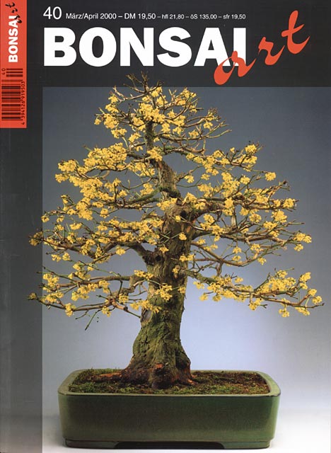 BONSAI ART 40, März/April 2000