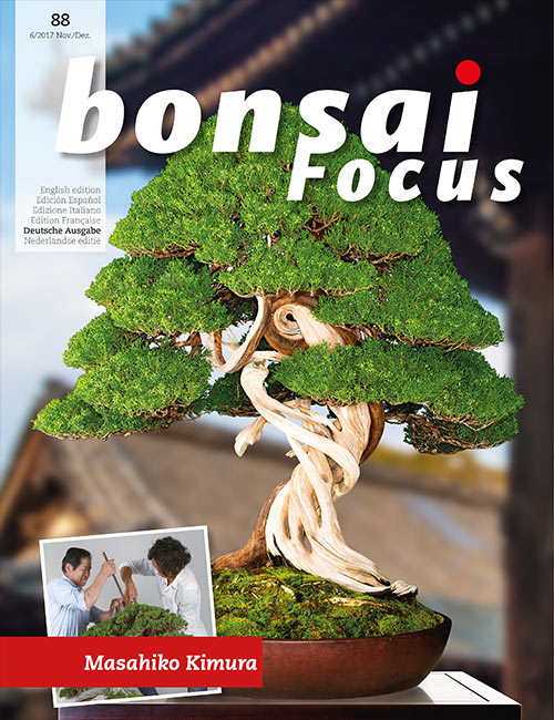 Bonsai-Focus 100 Nov/Dez 2019