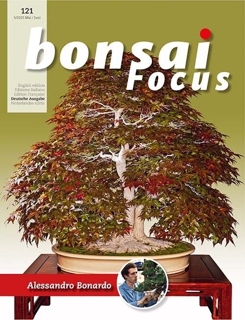 Bonsai-Focus 121 Mai/Juni 2023
