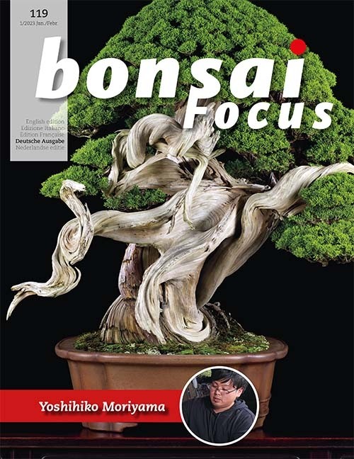 Bonsai-Focus 119 Januar/Februar 2023